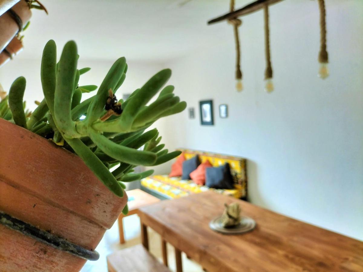 Solstice Hostel Santa Maria Luaran gambar